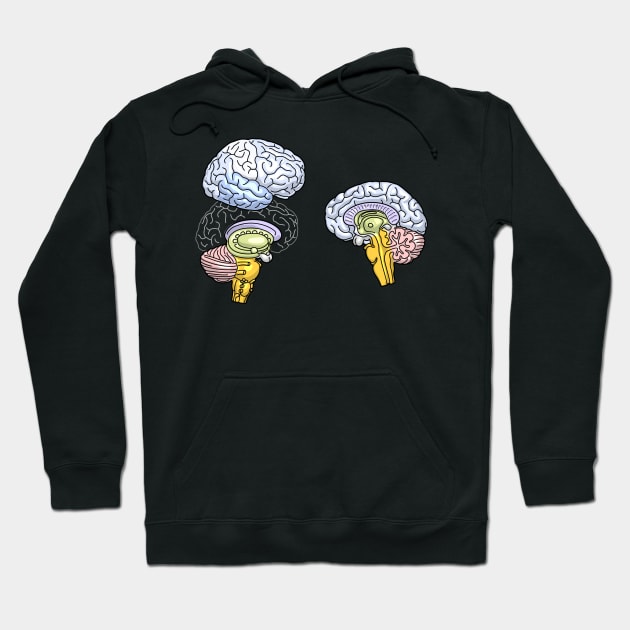 Human Brain Hemisphere Anatomy Illustration Hoodie by taylorcustom